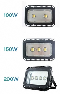 ĐÈN PHA LED DS2.1